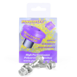 Powerflex PowerAlign Camber Bolt Lancia Delta 1.4-2.0 (1993-1999) Road Series