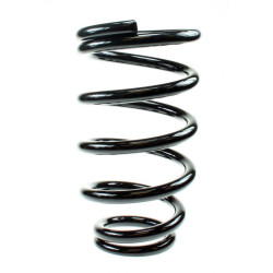 BC 20kg replacement spring for coilover, 62.85.245.004.5V