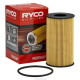 Direct fit RYCO fuel filter R2858P | races-shop.com