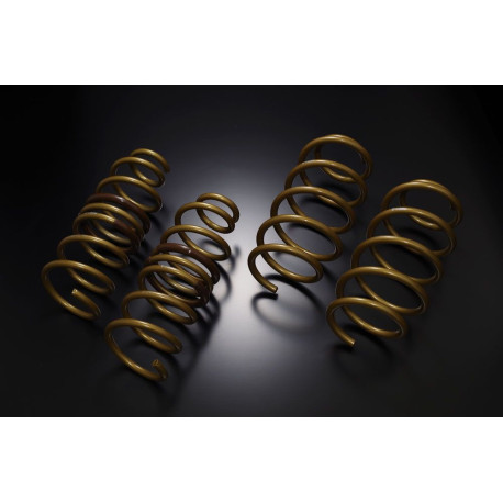 TEIN TEIN HIGH TECH Springs for FORD FOCUS DA3 TITANIUM | races-shop.com