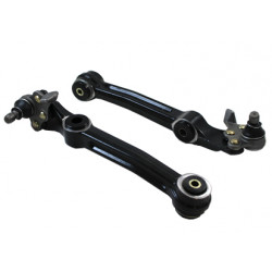 Control arm - complete lower arm assembly