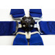 Seatbelts and accessories FIA 6 point safety belts RACES pre HANS, blue | races-shop.com