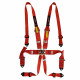 FIA 6 point sport safety belts RACES for HANS 3