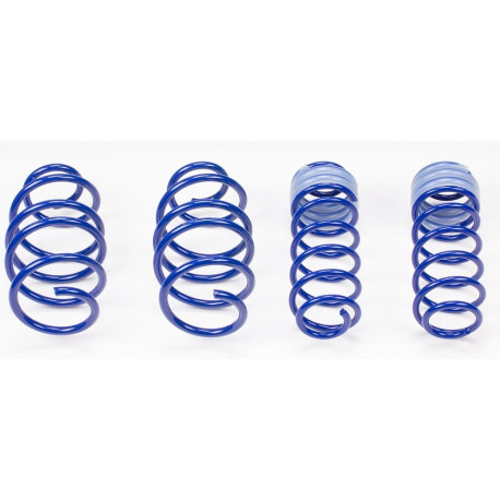 AP sportfahrwerke Lowering springs AP for SKODA Octavia, 01/05-, 50/30mm | races-shop.com