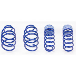 Lowering springs AP for SEAT Ibiza, ab Modell 2000, 30/30mm