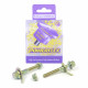 GTV & Spider 2.0 & V6, 916 (1995-2005) Powerflex PowerAlign Camber Bolt Kit (10mm) Alfa Romeo GTV & Spider 2.0 & V6, 916 (1995-2005) | races-shop.com
