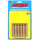 ARP Bolts ARP tool (rear Sprint) | races-shop.com