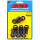 ARP Bolts Top fuel flywheel bolt kit(8x) | races-shop.com