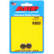 ARP Bolts ARP Flange Nut Kit 5/16-24 Hex 2 Pack | races-shop.com