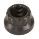 ARP Bolts "1/2""-20 12pt nut kit" (1pcs) | races-shop.com