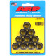 ARP Bolts ARP nuts (12-point), 1/2-20, 10 pcs, V1 | races-shop.com