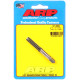 ARP Bolts ARP thread cleaning tap, 5/16-18 | races-shop.com