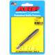 ARP Bolts ARP thread cleaning tap, M12×1.75 | races-shop.com