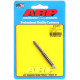 ARP Bolts ARP thread cleaning tap, M6×1.00 | races-shop.com