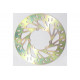 EBC brakes Moto EBC Brake Rotor MD698LS | races-shop.com