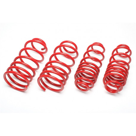 TA technix Lowering spring TA-TECHNIX for Mercedes E-Klasse W124 / C124 45/45mm | races-shop.com