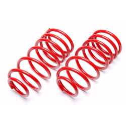 Lowering spring TA-TECHNIX for Peugeot 206 / 206 SW / 206 CC / 206 RC RFR / RHY / RFN / RFK / 9HY / 9HZ 30/--mm