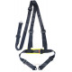 3 point sport safety belts RACES 2
