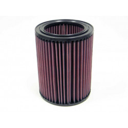 Replacement Air Filter K&N E-2447