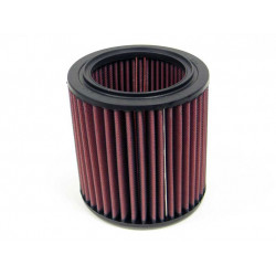 Replacement Air Filter K&N E-2450