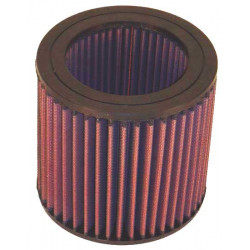 Replacement Air Filter K&N E-2455