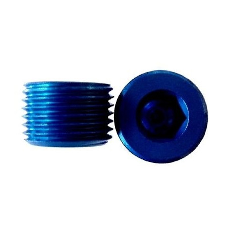 Plugs Plug 1/16 NPT - male | races-shop.com