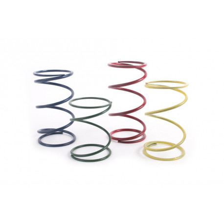 FORGE Motorsport FMWCW1 Spring Kit | races-shop.com