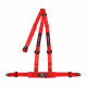 Seatbelts and accessories ECE 3 point safety belts 2" (50mm) RACES, red | races-shop.com