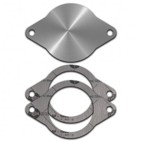 EGR plugs EGR removal plug with gaskets suitable for FORD Focus, Mondeo, Galaxy | races-shop.com