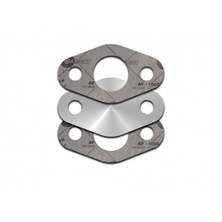 EGR plugs EGR removal plug with gaskets suitable for 1.7 CRDi KIA HYUNDAI 116, 136 HP | races-shop.com