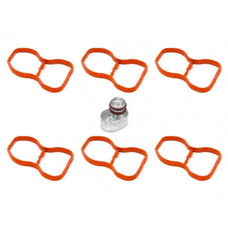 Intake manifold plugs Inlet manifold plug suitable for BMW Diesel 2.5, 3.0 N57 | races-shop.com