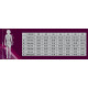 Underwear FIA fireproof women`s briefs OMP ONE EVO, black | races-shop.com