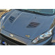 Body kit and visual accessories BONNET VENTS RENAULT MEGANE MK3 RS | races-shop.com