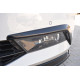 Body kit and visual accessories Frames for lights SKODA SUPERB III | races-shop.com