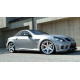 Body kit and visual accessories MAXTON DESIGN front splitter for Mercedes SLK R171 (for Me-SLK -r171-AMG204-f1) | races-shop.com