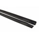 Body kit and visual accessories Side Skirts Diffusers Audi RS6 C6 | races-shop.com