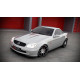 Body kit and visual accessories FRONT SPLITTER MERCEDES SLK R170 | races-shop.com