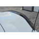 Body kit and visual accessories SPOILER CAP BMW Z4 E85 (PREFACE) | races-shop.com