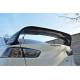 Body kit and visual accessories SPOILER CAP Mitsubishi Lancer Evo X | races-shop.com