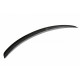 Body kit and visual accessories SPOILER CAP VW Passat CC R36 RLINE | races-shop.com