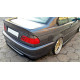 Body kit and visual accessories CENTRAL REAR SPLITTER for BMW 3 E46 MPACK COUPE (with vertical bars) | races-shop.com