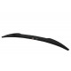 Body kit and visual accessories MAXTON DESIGN spoiler cap for BMW M6 E63 | races-shop.com