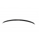 Body kit and visual accessories SPOILER CAP Audi A8 D4 | races-shop.com