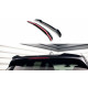 Body kit and visual accessories SPOILER EXTENSION for BMW X3 G01 M-PACK | races-shop.com