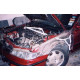 Strutbars Honda Accord 94-97 2D Ultra-R 3-Point Front Upper Strutbar | races-shop.com