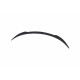 Body kit and visual accessories MAXTON DESIGN spoiler cap for Tesla Model 3 | races-shop.com
