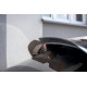 Body kit and visual accessories Spoiler Extension Kia ProCeed GT Mk3 | races-shop.com