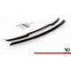 Body kit and visual accessories Spoiler Cap Ford Mustang GT Mk6 Facelift | races-shop.com