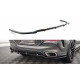 Body kit and visual accessories Central Rear Splitter (with vertical bars) V.3 BMW X6 M-Pack G06 | races-shop.com
