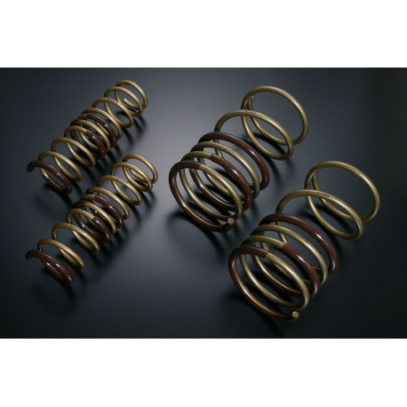 TEIN TEIN HIGH TECH Springs for MITSUBISHI GALANT FORTIS SPORTBACK CX4A RALLIART | races-shop.com